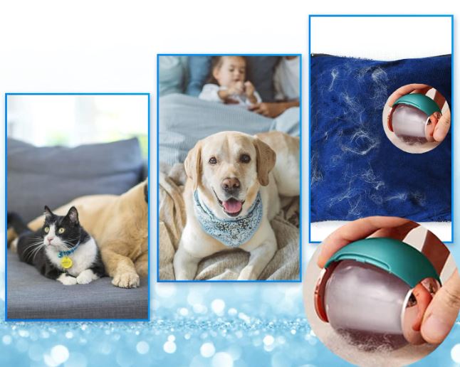 Miniatura 7 de REMOVEDOR DE PELO DE MASCOTAS PORTATIL